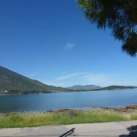 Alikes View Holiday 펜션 *
